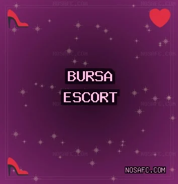 Bursa Escort: Karacabey Escort, Harmancık Escort, Orhangazi Escort